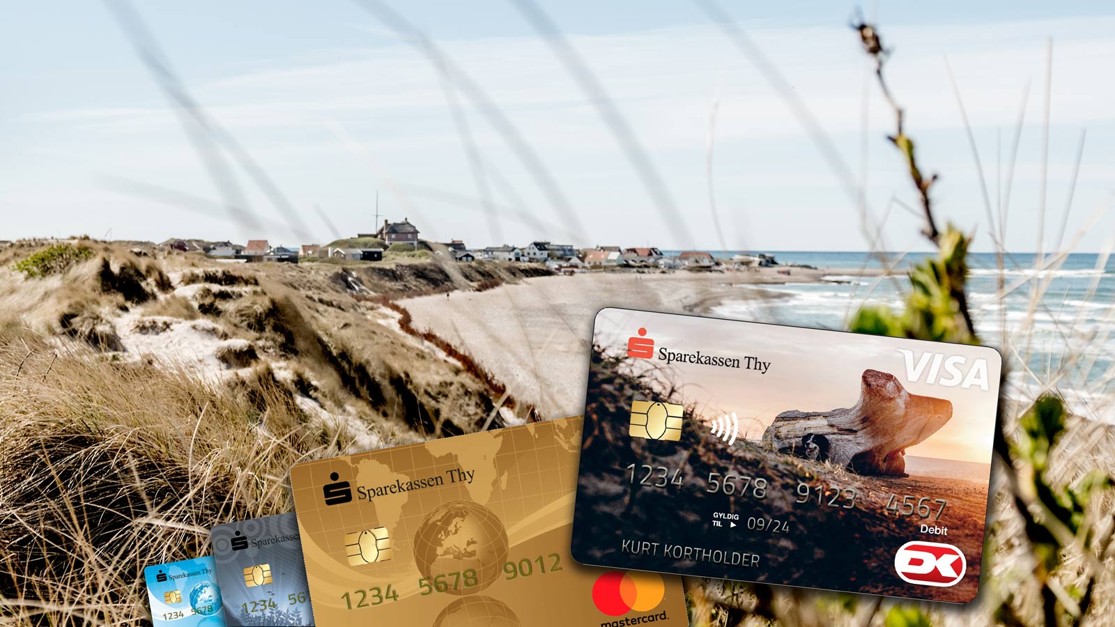 Forskellige betalingskort