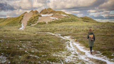 Natur, kvinde med hund i klitter 