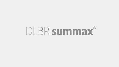 Logo Summax