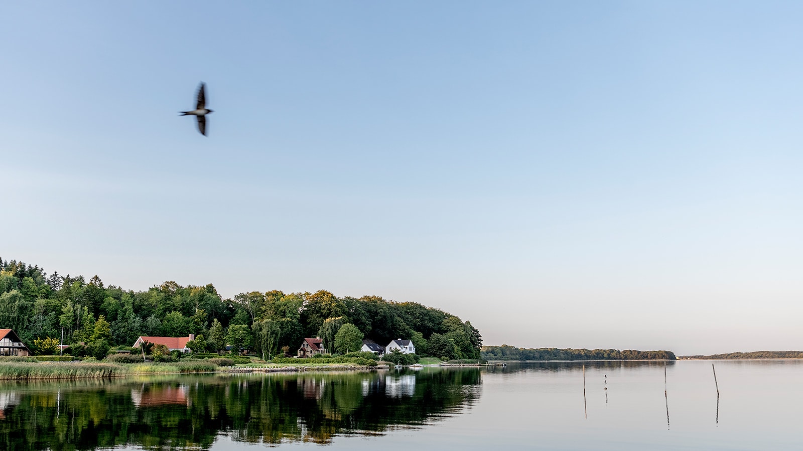 Naturudsigt over fjordbugt med hus og skov i baggrunden