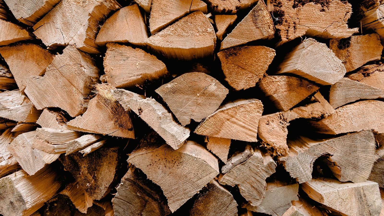 Nærbillede af brænde
